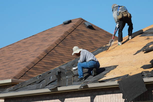 Best Metal Roofing Installation  in New California, OH