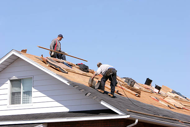 Best Gutter Installation and Repair  in New California, OH